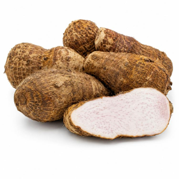 Malanga 3 Lb
