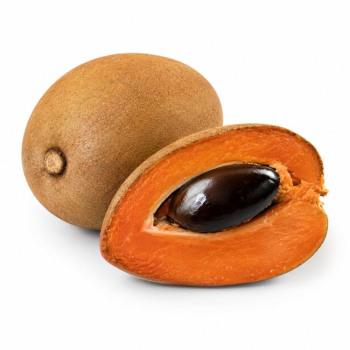 Mamey 1 u